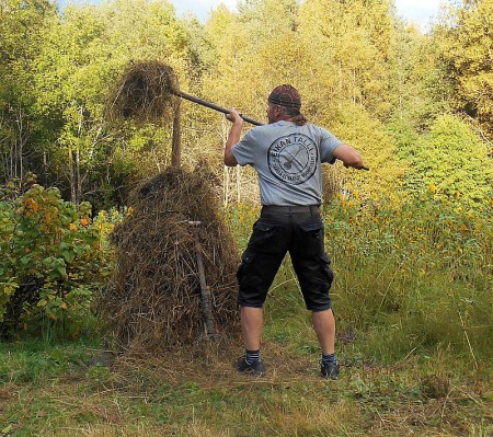 ... ja  vielä lisää...